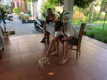 Gia Lam Villa Hoi An, Hoi An (photo 2)