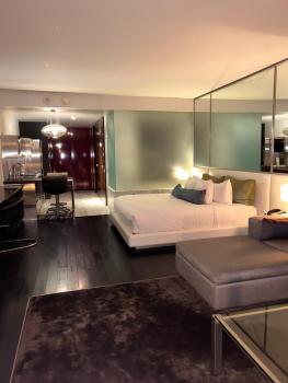 Amazing Luxury Suite 25th floor, Las Vegas (photo 4)