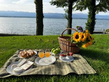 Park Villa Geneva - Swiss Hotel Apartments, Geneva (photo 5)