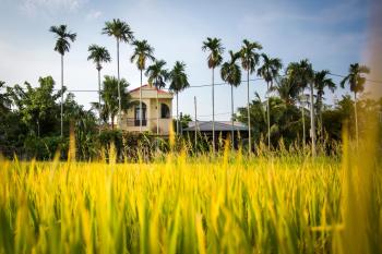 La Maison Gạo, Hoi An, Hoi An (foto 5)