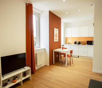 Le Terracotta - Joli studio Metro D Valmy et quais de Saone - wifi inclus, Lyon (fotografie 2)
