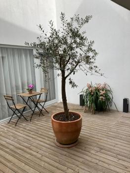 RIBEIRA FLORES 59 Downtown Apartments, Porto (photo 2)