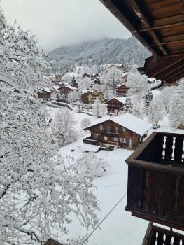 Traditional chalet in Wengen - Top Floor, Wengen (fotografie 3)