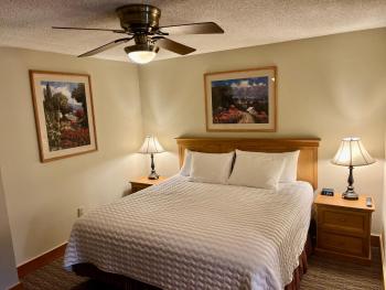 MT CB Base Area with King Bed, Outdoor Hot Tub & Pool, Crested Butte (foto 3)
