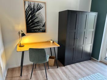 Ferienwohnung-Parkplatz-Balkon-Küche-Aufzug-SmartTV-Waschtrockner, Erlangen (fotografie 4)