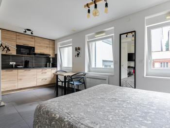 Résidence le premium, hyper centre, studio tout équipé, Strasbourg (photo 2)