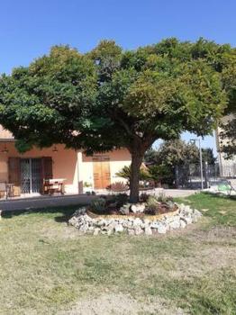 Camera privata in villa con ingresso indipendente e grande giardino, Perugia (foto 2)