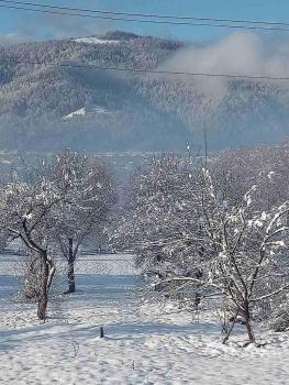 Вілла Зозуля, Mykulychyn (photo 4)