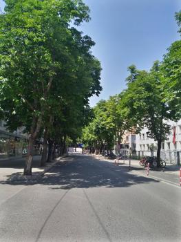 Lovely 1 1 Rental Ap In Myslym Shyri Tirana, Tirana (photo 5)