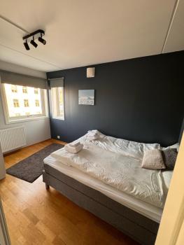 Super Central 3-bedroom apartment, Oslo (photo 4)