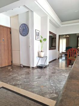 Large 1 bedroom Penthouse with Large Terrace, Ateny (zdjęcie 4)