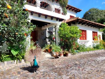 Hotel y Jardines Casa Búho, Antigua Guatemala (foto 2)