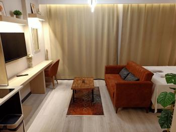 NEW FALCON PALAS OTEL, Estambul (foto 3)