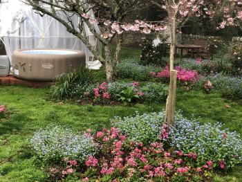 Flowerhaven - glamping dome, Hamilton (zdjęcie 5)