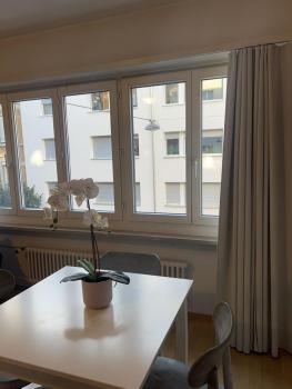 Schweiz (302), Basel (photo 4)