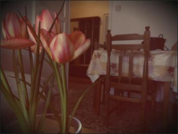 Laghanini Apartments, Split (photo 5)