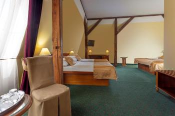 Hotel William, Prague (photo 4)