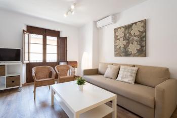 Santiago Premium Loft II, Málaga (fotografie 2)