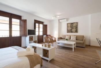 Santiago Premium Loft II, Málaga (fotografie 4)