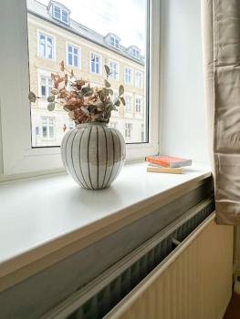 Cozy & romantic apartment in the Heart of Aalborg, Aalborg (foto 2)