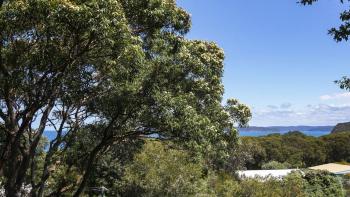 Anthonys Treehouse by the Beach, Killcare (fotografie 4)