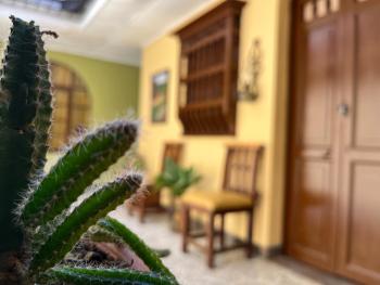 Casa Grande Hostal, Medellín (photo 2)
