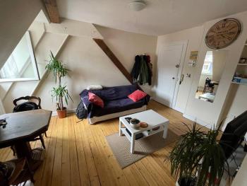 Joli 2 pièces - Krutenau Austerlitz, Strasbourg (photo 2)
