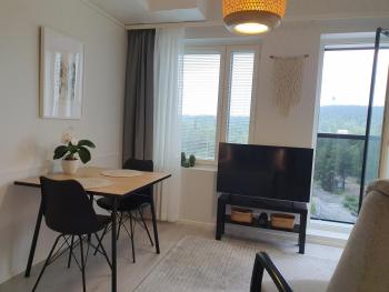 Studio 12 floor, Puijo landscape, Free parking, Kuopio (photo 5)