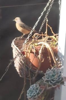 SapphireB@54, Windhoek (Foto 4)