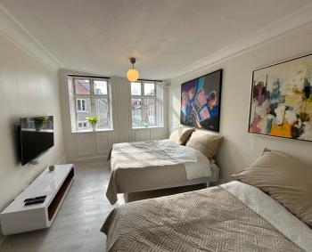 Central, Historical, Unique & Modern Apartment CPH, Kodaň (fotografie 2)