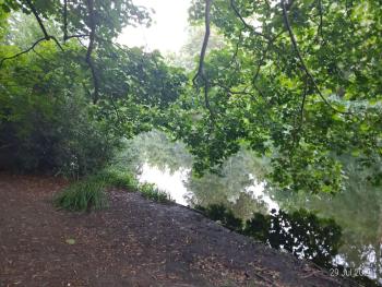 Lovely 3-room condo in Berlin, lakes & city center, Berlino (foto 5)