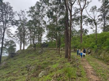 Tranquilisle, Kandy (photo 3)