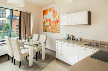 Rent like home - Szklane domy, Zakopane (fotografie 5)