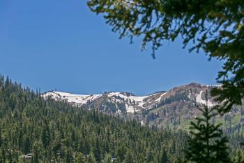 Juniper at Alpine - Private Hot tub, Pet Friendly & Free Shuttle to Slopes, Olympic Valley (foto 2)
