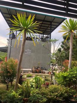 บ้านทองอาทรเขาค้อ, Khao Kho (fotografie 2)