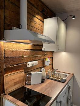Garden Studios next to Telliskivi & Old Town, Tallinn (photo 3)