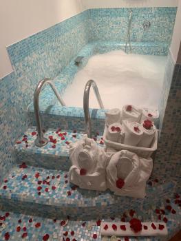 Eveline 2 - Piscina Privata o Jacuzzi, Sanremo (foto 4)