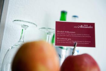Hotel Alexander Zurich Old Town, Цюрих (фото 4)