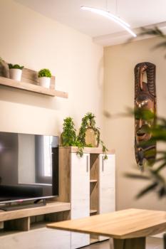 Pilar8 - Apartamento céntrico y moderno con piscina y parking, Jaén (foto 3)