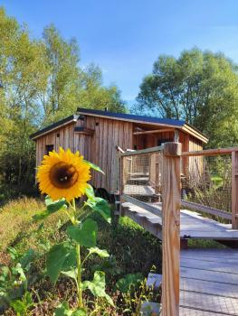 La Cabane d'Ode, Sainte-Ode (zdjęcie 2)