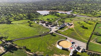 Alojamiento Rural Finca Barral, Seville (photo 5)