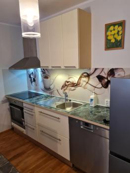 Spacious studio apartment in city center Tallinn, Tallinn (photo 2)