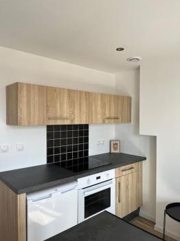 Appartement Croix-Rousse, Lyon (fotografie 5)