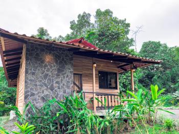 Green Forest Villa, Фортуна (фото 4)