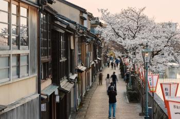 空知 -Koochi-, Kanazawa (fotografie 5)