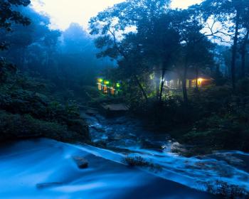 Goodland Falling Water Munnar, Munnar (zdjęcie 3)