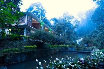 Goodland Falling Water Munnar, Munnar (zdjęcie 2)