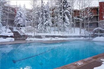 Enclave 312, Ski-In/Ski-Out Condo, Top Floor w/ Hot Tub, Gym and Out Door Pool in Snowmass, Snowmass Village (photo 3)