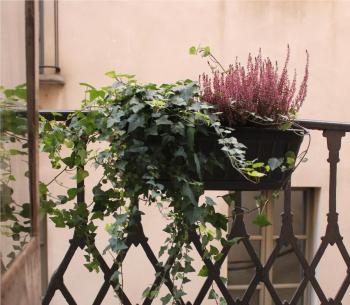 Centro Storico Home, Turín (fotografie 3)