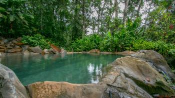 Chachagua Rainforest Hotel & Hot Springs, Fortuna (photo 4)